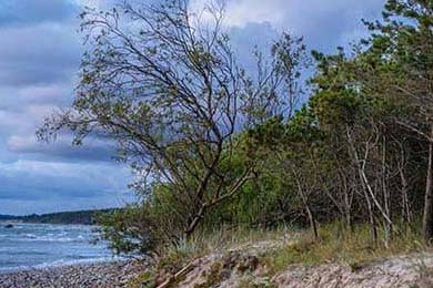 CBA球员合练备战新赛季，誓取辉煌成就，cba合作伙伴有哪些