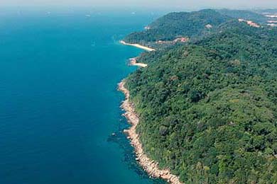 LPL夏季赛MVP候选人名单揭晓，lpl 夏季赛 mvp